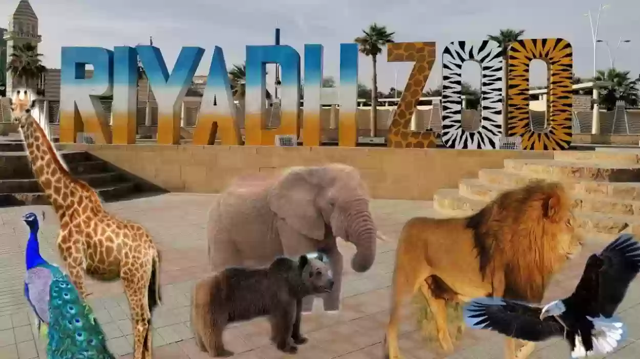 ما هو رقم التواصل مع حديقة الحيوان في الرياض؟