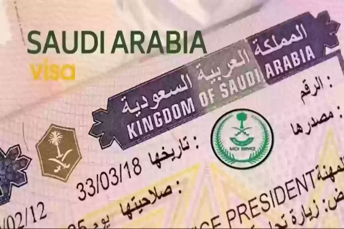 برقم الجواز | خطوات الاستعلام عن التأشيرة في السعودية 2024 برابط مباشر